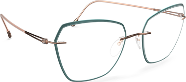 Style Name: 5566-LS 3530-5417